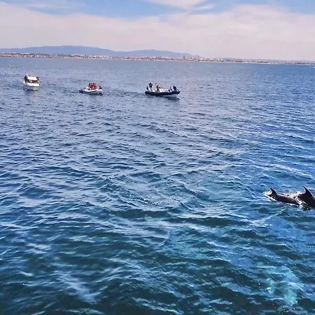 Вилла Coral Bay By Algarve Vacation *